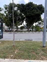 Yio Chu Kang Road (D19), Shop House #608698551